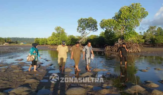 wawonii Rombongan Tim Dewan Perwakilan Rakyat Daerah (DPRD) kabupaten Konawe Kepulauan (Konkep) Sulawesi Tenggara (Sultra) saat melakukan peninjauan lokasa penanaman mangrove didesa pasir putih kecamatan Wawonii Barat pada senin (29/08/2016).(Arjab Karim/ZONASULTRA.COM)