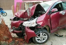 Mobil Tabrak Pohon, Satu Orang Meninggal Dunia mobil-tabrak-pohon-satu-orang-meninggal-dunia