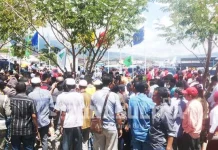 Musik Kecapi Mengiringi Pendaftaran ” Berkah” di KPUD Bombana musik-kecapi-mengiringi-pendaftaran-berkah-di-kpud-bombana