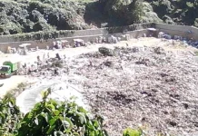 Cerita Sapiudin, Pemulung Sampah di TPAS Puwatu : “Saya Sudah Tua, Tenaga Juga Tidak Sekuat Dulu” tempat-pembuangan-akhir-sampah-tpas-kota-kendari