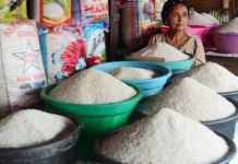 Distanak Minta Kabupaten Kota Tak Lakukan Distribusi Beras Keluar Sultra beras