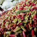 Harga Anjlok, Petani di Bombana Enggan Jual Cengkehnya harga-anjlok-cengkeh