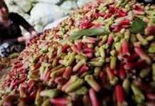 Harga Anjlok, Petani di Bombana Enggan Jual Cengkehnya harga-anjlok-cengkeh