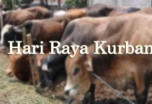 Pastikan Hewan Kurban Layak Konsumsi, Distan Kendari Siapkan 11 Dokter Hewan Ilustrasi idul ada, kurban