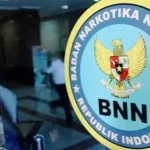 BNNP Sultra Ajak ASN Bombana Cegah Peredaran Gelap Narkotika di Lingkup Pemda ilustrasi-bnn-sultra