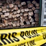 Truk Pelaku Illegal Logging di Maligano Diduga Milik Oknum Polisi ilustrasi-illegal-logging-ilegal-kayu