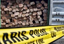 Truk Pelaku Illegal Logging di Maligano Diduga Milik Oknum Polisi ilustrasi-illegal-logging-ilegal-kayu