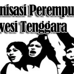 Organisasi Perempuan Kendari Ajukan Program Prioritas Untuk Wali Kota Terpilih ilustrasi-organisasi-perempuan-sultra