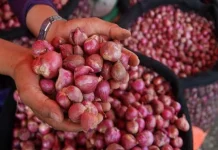 Bawang Merah dan Bawang Putih Melonjak Jelang Idul Adha ilustrasi bawang merah putih