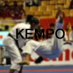 Perkemi Andalkan Ariyanto dan Zubmawati Raih Medali di PON XIX Ilustrasi