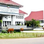 Belasan Ekor Sapi Penuhi Halaman Kantor Bupati Konut belasan-ekor-sapi-penuhi-halaman-kantor-bupati-konut