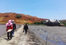Cecak-Buaya di Tanah Motui Cecak-Buaya di Tanah Motui