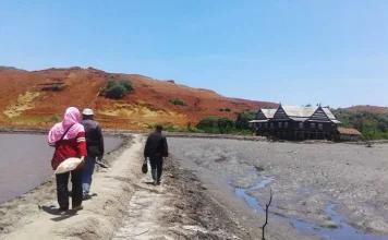 Cecak-Buaya di Tanah Motui Cecak-Buaya di Tanah Motui