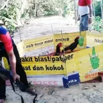 Polsek Tinanggea Gerebek Judi Sabung Ayam, Pelaku Kabur gerebek-judi-sabung-ayam