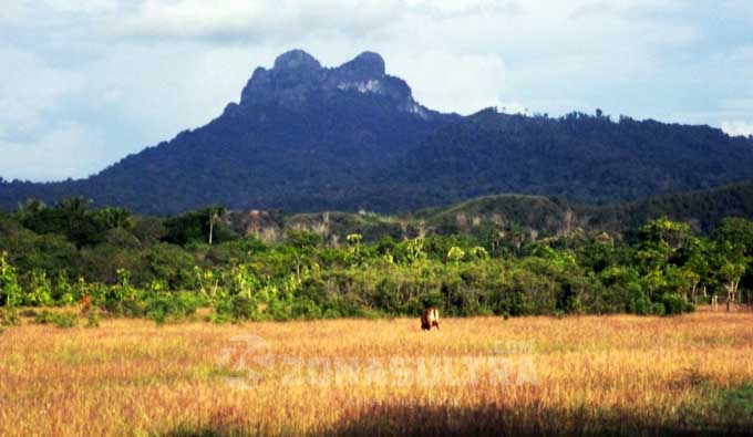 gunung-batu-sangia