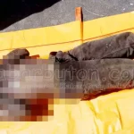 Warga Baubau Temukan Mayat Tanpa Identitas jenazah-tanpa-identitas-yang-ditemukan-warga-di-mes-waringin-kota-baubau