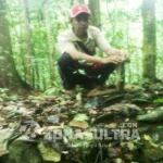 Asal Usul Kabaena dan Jejak Sejarah Kerajaan Kotu’a makam-leluhur-di-perkampungan-tua-kotua2