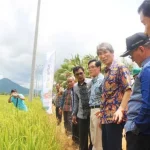 Walikota Yeongwol Park Sun Kyu: Pertanian Koltim Akan Lebih Maju Dibanding Daerah Lain walikota-yeongwol-pertanian-koltim-akan-lebih-maju-dibanding-korsel