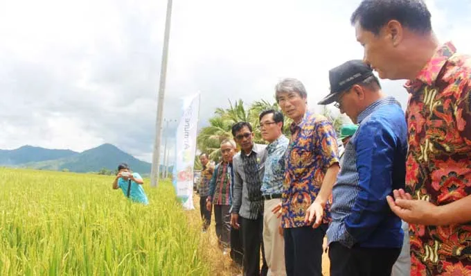 walikota-yeongwol-pertanian-koltim-akan-lebih-maju-dibanding-korsel walikota-yeongwol-pertanian-koltim-akan-lebih-maju-dibanding-korsel