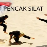 Usai PON Papua, IPSI Sultra Siap Gelar Raker Evaluasi Tahun Depan ilustrasi silat
