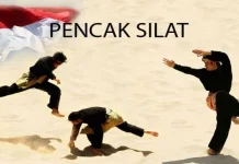 Usai PON Papua, IPSI Sultra Siap Gelar Raker Evaluasi Tahun Depan ilustrasi silat