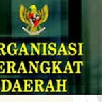 OPD Konsel Ditetapkan, Tiga Dinas dan Satu Badan Dihapus. Ilustrasi