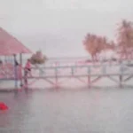 Pemkab Mubar Jadikan Pulau Indo Destinasi Wisata Favorit Pemkab Mubar Jadikan Pulau Indo Destinasi Wisata Favorit