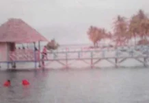 Pemkab Mubar Jadikan Pulau Indo Destinasi Wisata Favorit Pemkab Mubar Jadikan Pulau Indo Destinasi Wisata Favorit