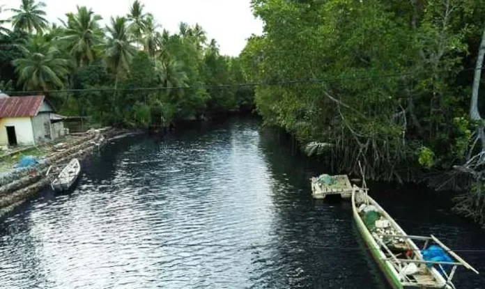 PENCEMARAN LINGKUNGAN- Terlihat air kali desa Mowundo kecamatan Molawe Kabupaten Konawe Utara berubah menjadi hitam dan berbau busuk akibat pembuangan sisa olahan sagu yang langsung ke Kali. (Jefri/ZONASULTRA.COM).