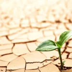 Dua Desa di Bombana Kekeringan, PDAM Diminta Bertanggung Jawab Ilustrasi