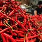 Gagal Panen Sebabkan Harga Cabai Melonjak di Kendari Ilustrasi cabe
