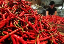 Curah Hujan Tinggi, Kualitas Cabe Petani Dikhawatirkan Ilustrasi cabe