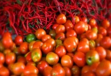 Harga Cabai dan Tomat di Bombana Naik ilustrasi cabai tomat