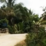 Pembangunan Jembatan Desa Nihi Terhambat Izin Lahan Jembatan yang melintasi jalan ring road Di desa Nihi Kecamatan Sawerigadi terhambat karena izin lahan. (Laode Pialo/ZONASULTRA.COM)