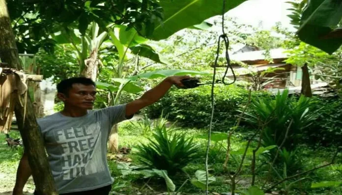 Lokasi korban mengakhiri hidupnya dengan cara gantung diri di bawah pohon mangga di belakang rumahnya sendiri. (Lukman/ZONASULTRA.COM)