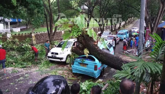 POHON TUMBANG- Insiden pohon tumbang yang menjatuhi sebuah mikrolet di Jalan Balaikota I, Kelurahan Mandonga, Kecamatan Mandonga, Selasa (8/11/2016) sekitar pukul 17.00 Wita. Dalam insiden ini tidak menelan korban jiwa, namun arus lalulintas terlihat sedikit macet. (ILHAM SURAHMIN/ZONASULTRA.COM)
