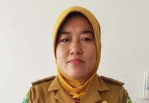 Pengangkatan CPNS Bidan PTT Konut Masuk Tahap Pemberkasan, Ini yang Harus Disiapkan Pelaksan tugas (Plt) Kepala Dinas Kesehatan Konut Nurjannah Efendi