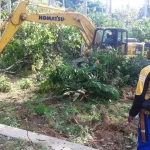 Jelang Kedatangan Dirjen Perkebunan, Pemda Konut Benahi Lahan 8 Hektar Jelang Kedatangan Dirjen Perkebunan, Pemda Konut Benahi Lahan 8 Hektar