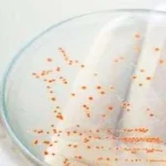 Kebiasaan Pinjamkan 5 Barang Ini Harus Dihilangkan Demi Kesehatan ilustrasi pinjam barang