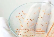 Kebiasaan Pinjamkan 5 Barang Ini Harus Dihilangkan Demi Kesehatan ilustrasi pinjam barang