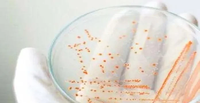 ilustrasi pinjam barang