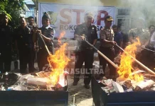 Bea Cukai Kendari Musnahkan Jutaan Batang Rokok Illegal Bea Cukai Kendari, Musnahkan Ribuan Batang Rokok Illegal