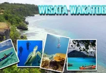 9 Daerah di Sultra Masuk dalam Gerbong Percepatan Pembangunan Pariwisata Wakatobi Wisata Wakatobi