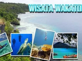Sultra Prioritaskan Pengembangan Destinasi Wakatobi Wisata Wakatobi