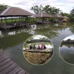 Pondok Erfa, Wisata Rekreasi Keluarga dan Kolam Pemancingan Terbesar di Konawe Pondok Erfa, Wisata Rekreasi Keluarga dan Kolam Pemancingan Terbesar di Konawe