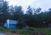 Kada, Sastra Lisan Moronene yang Tertata Laksana Buku Kada, Sastra Lisan Moronene yang Tertata Laksana Buku