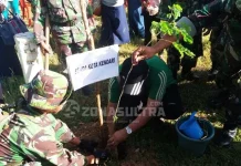 Wujudkan Kendari Kota Teduh, Pemkot Galakkan Gerakan Penanaman Pohon Wujudkan Kendari Kota Teduh, Pemkot Galakkan Gerakan Penanaman Pohon