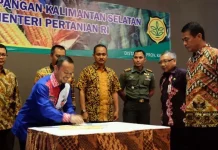 Tingkatkan Produksi Pangan, Mentan Gelar Rakor di Kalsel Tingkatkan Produksi Pangan, Mentan Gelar Rakor di Kalsel