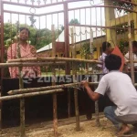 Janji Tak Ditepati, Ahli Waris di Konawe Selatan Segel Sekolah Janji Tak Ditepati, Ahli Waris di Konawe Selatan Segel Sekolah