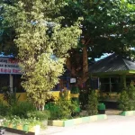 SMPN 15 Kendari Juara 1 Lomba Sekolah Sehat SMPN 15 Kendari